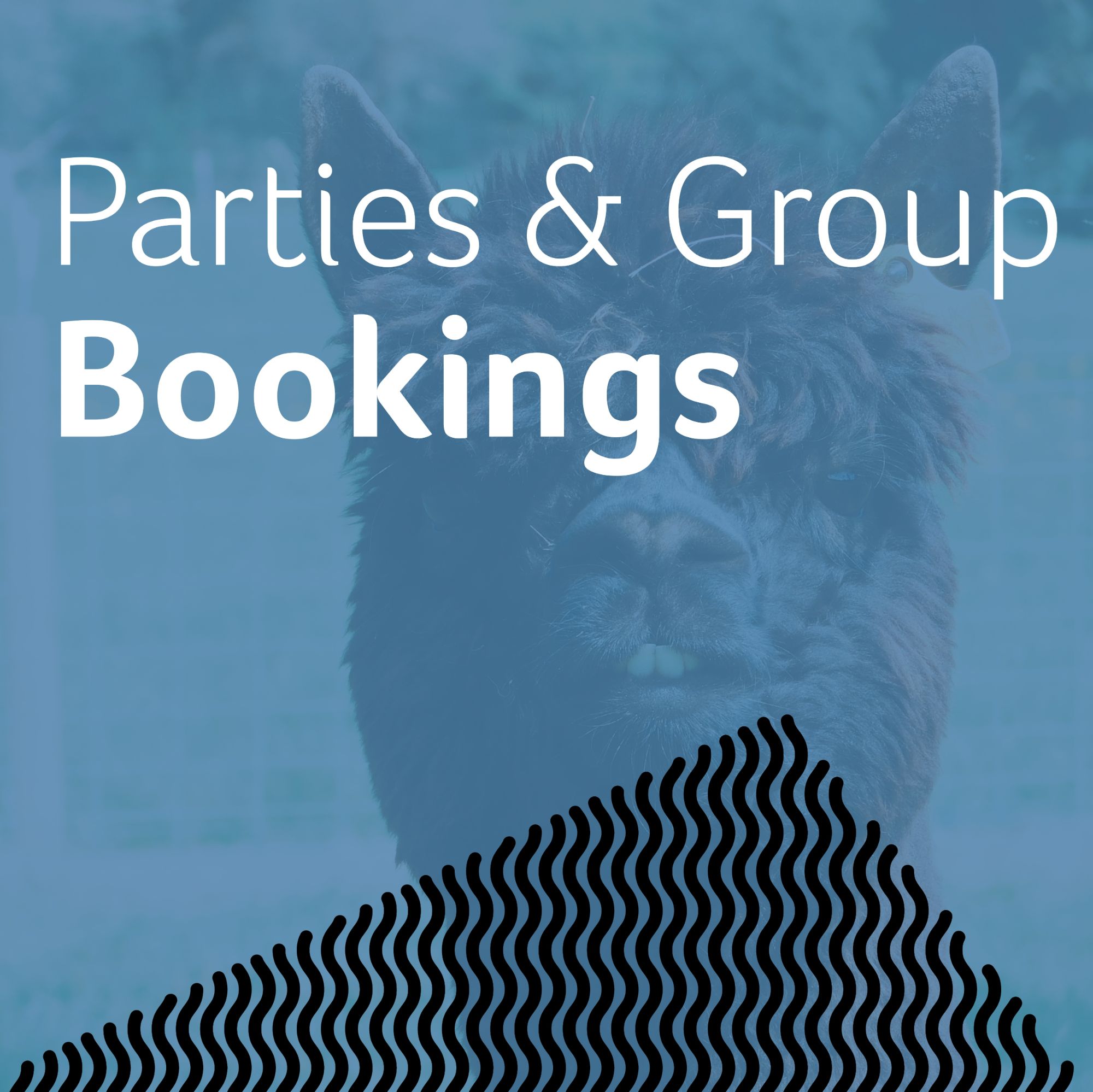 Parties and Group Bookings